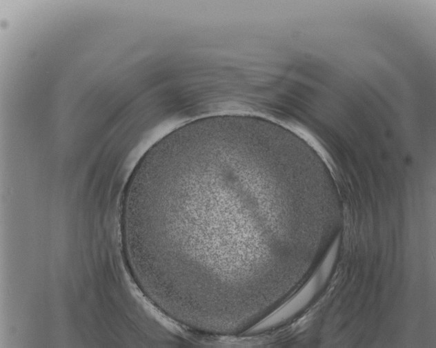 X0000063501142200601271738