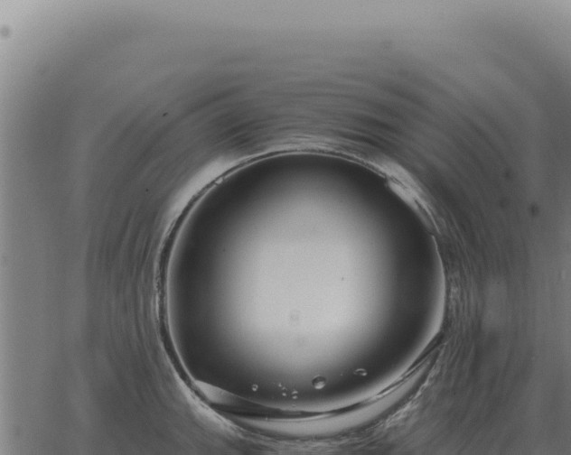 X0000063501143200601271738