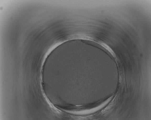 X0000063501144200601271738