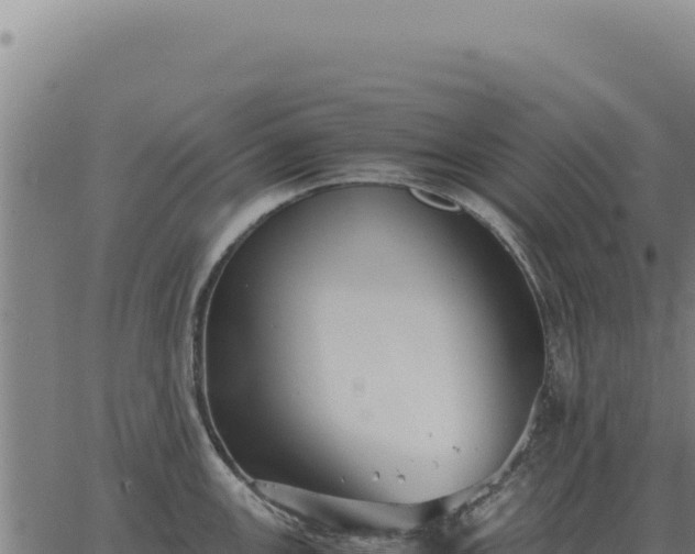 X0000063501147200601271738