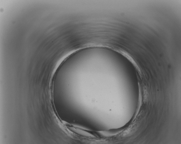 X0000063501148200601271738