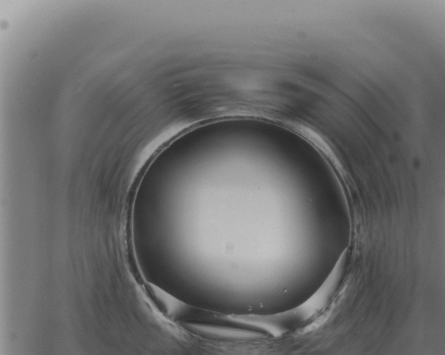 X0000063501149200601271738