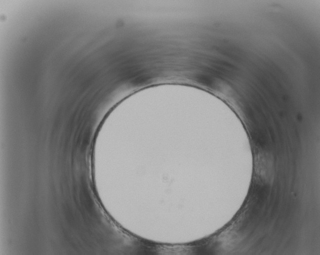 X0000063501150200601271738