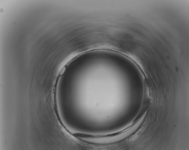 X0000063501151200601271739