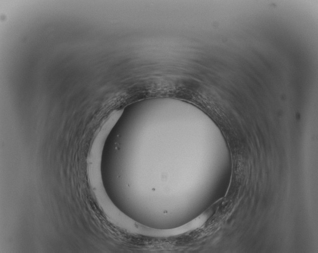 X0000063501153200601271738