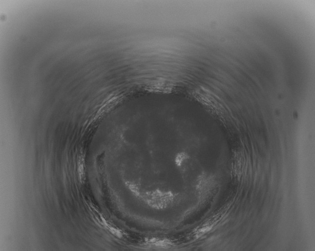 X0000063501154200601271738