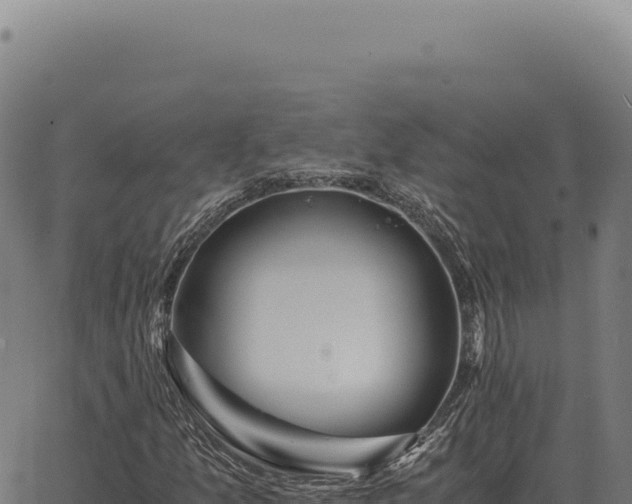 X0000063501157200601271738