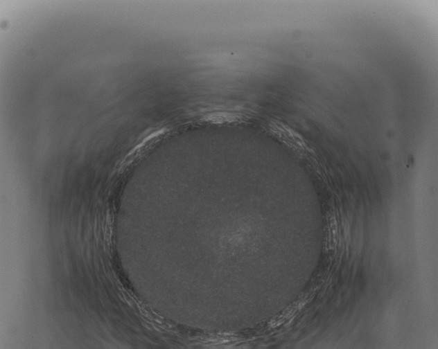 X0000063501158200601271738