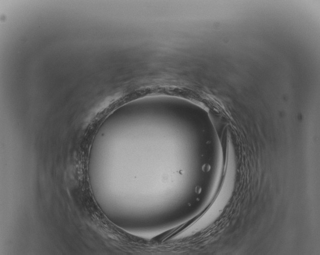 X0000063501159200601271738