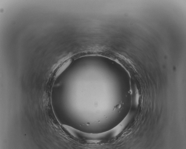 X0000063501160200601271738