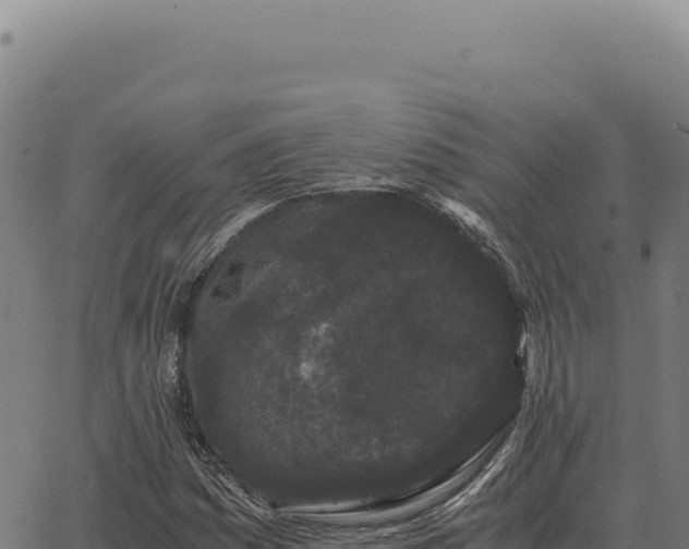 X0000063501161200601271738