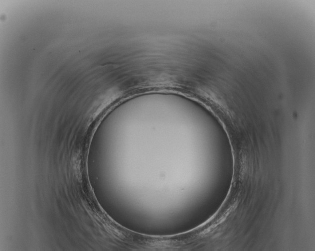 X0000063501162200601271738