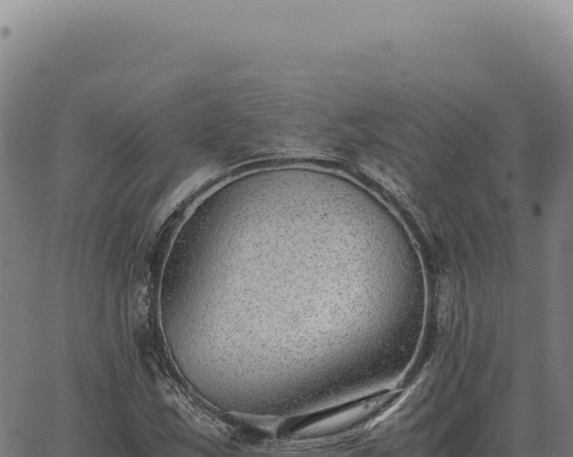 X0000063501163200601271738