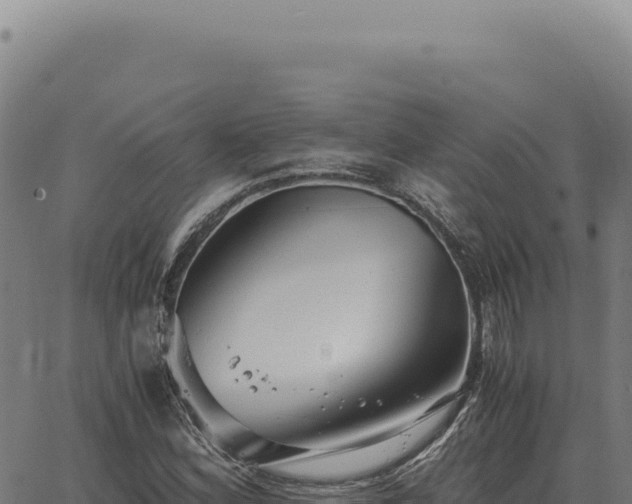 X0000063501164200601271738