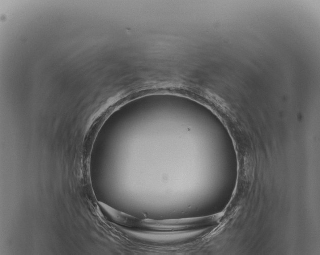 X0000063501165200601271738