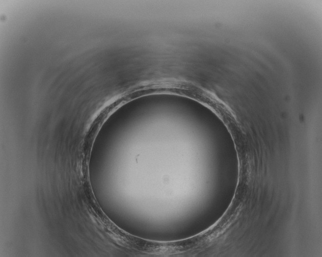 X0000063501166200601271738