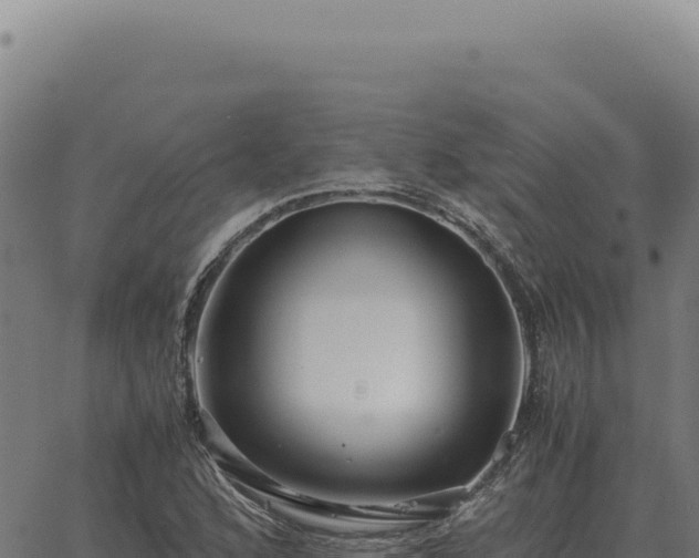 X0000063501168200601271738