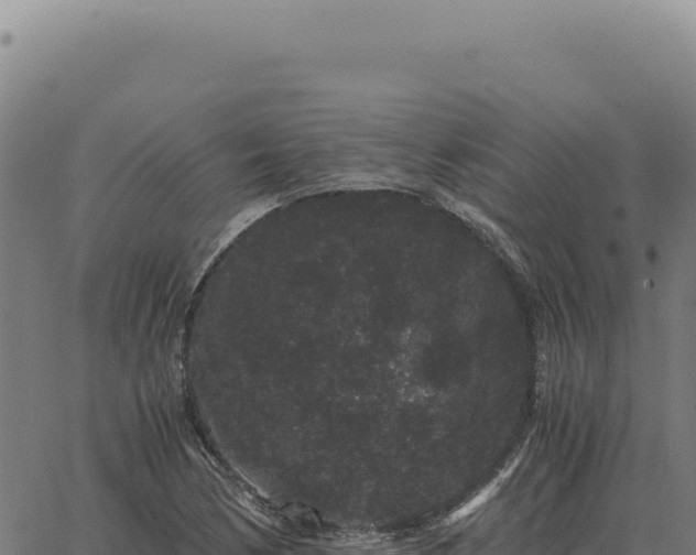 X0000063501170200601271737