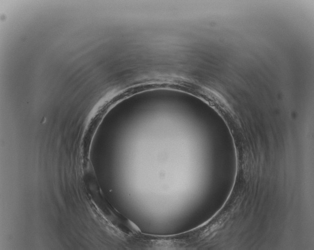 X0000063501172200601271737