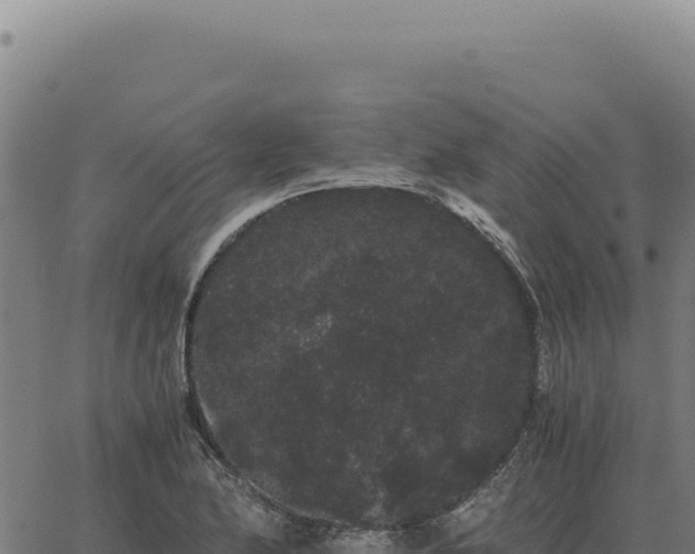 X0000063501174200601271737