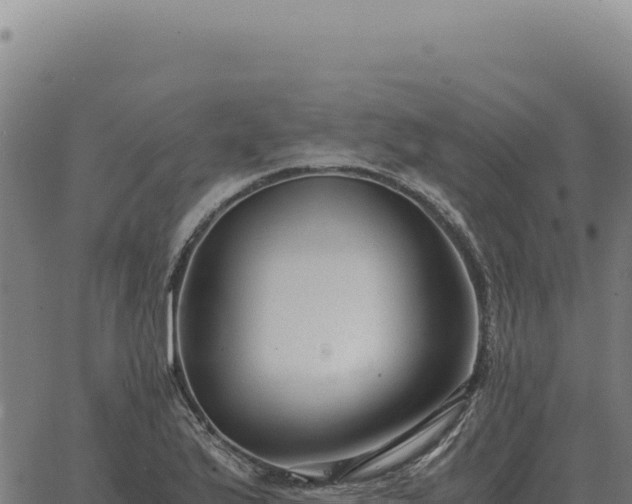 X0000063501175200601271737