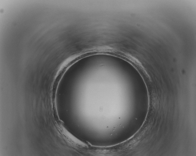 X0000063501176200601271737