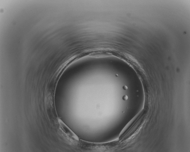 X0000063501177200601271737