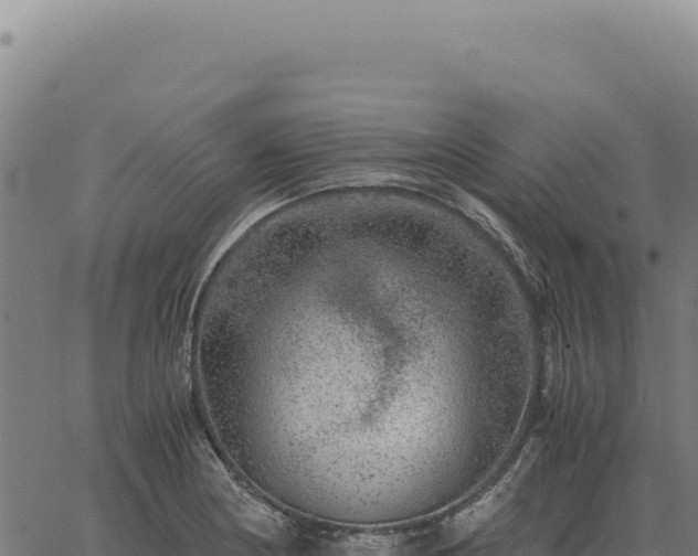 X0000063501178200601271737