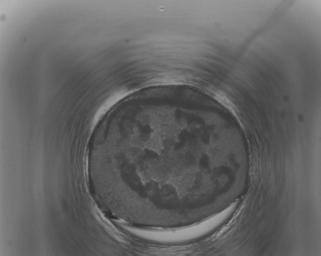 X0000063501179200601271737