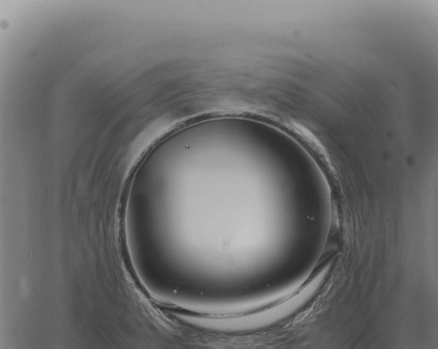 X0000063501183200601271737