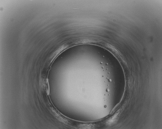 X0000063501185200601271737