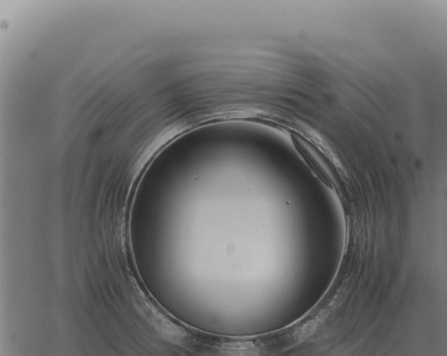 X0000063501186200601271737