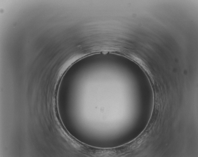 X0000063501187200601271737