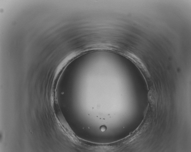 X0000063501188200601271737