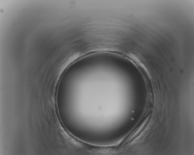 X0000063501189200601271737