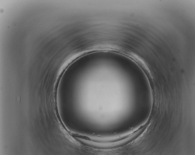 X0000063501192200601271737