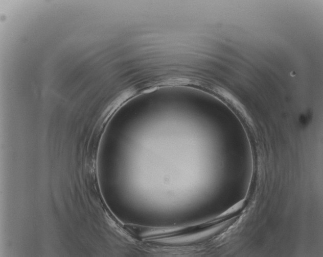 X0000063501193200601271737