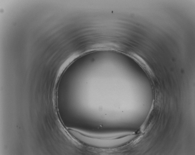 X0000063501196200601271737