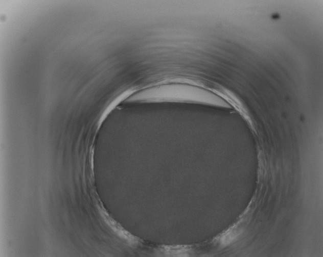 X0000063501198200601271737