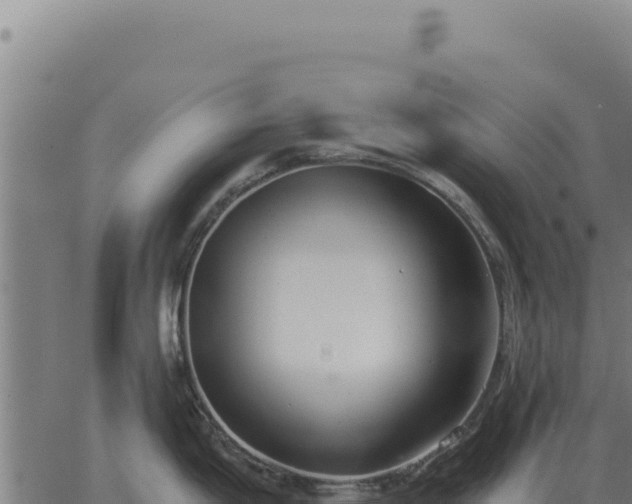 X0000063501199200601271737