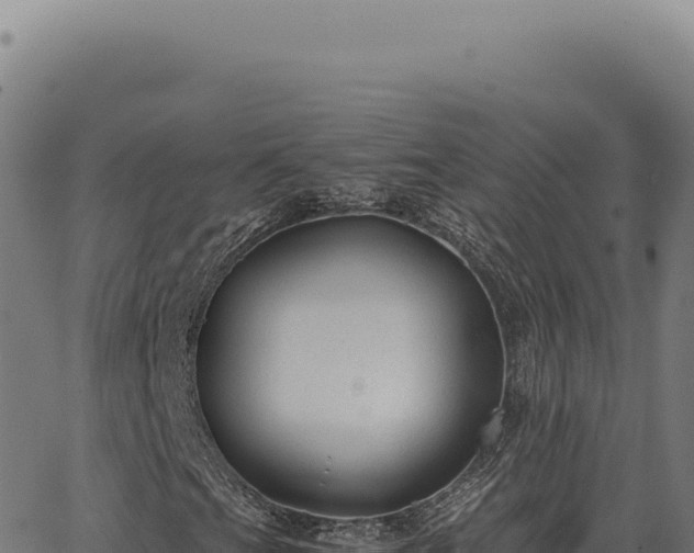 X0000063501201200601271736