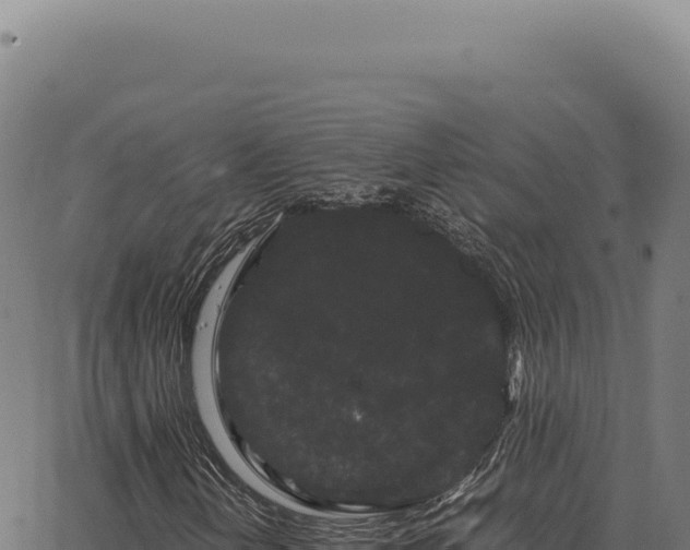 X0000063501202200601271736