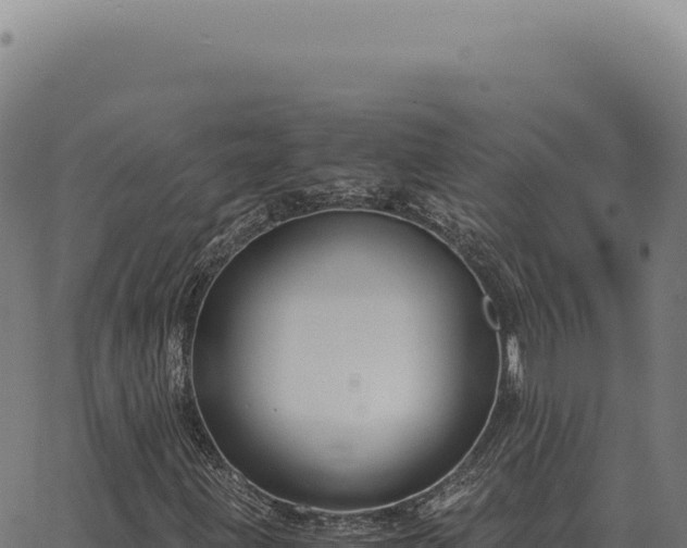 X0000063501203200601271736