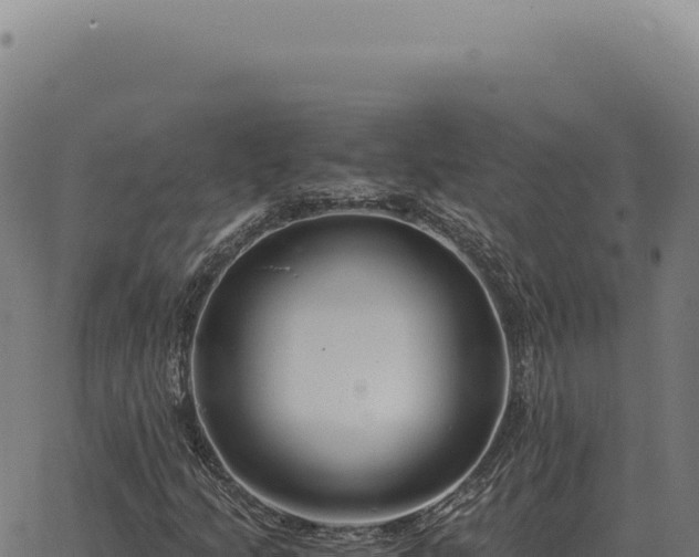 X0000063501205200601271736