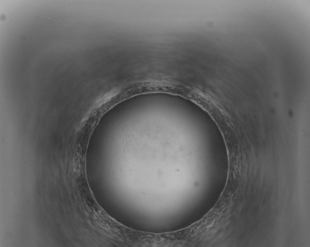 X0000063501207200601271736