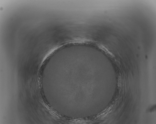 X0000063501208200601271736