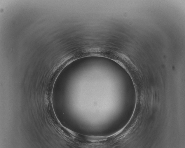 X0000063501209200601271736