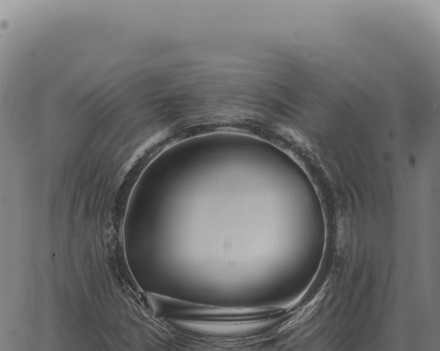 X0000063501210200601271736