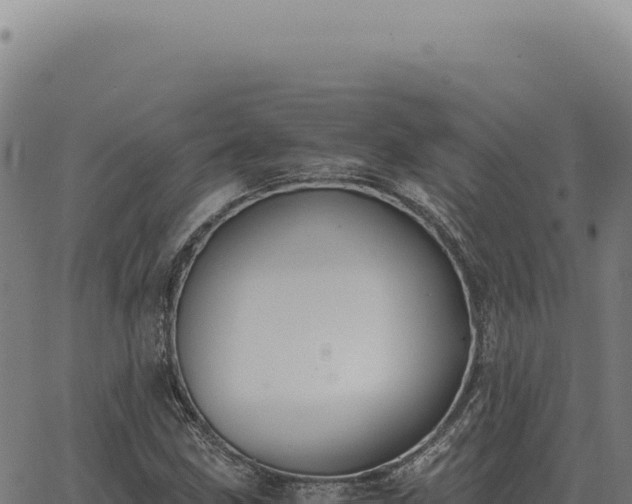 X0000063501211200601271736