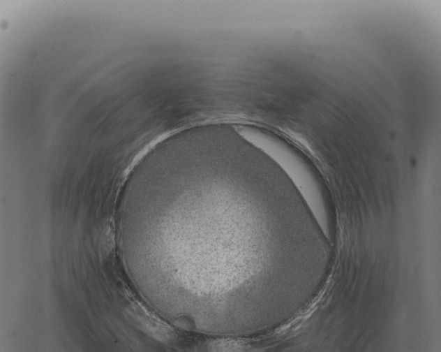 X0000063501212200601271736